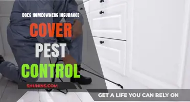 Homeowners Insurance: Pest Control Covered?