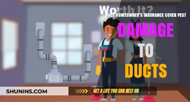 Pest Damage to Ducts: Is Homeowner's Insurance Your Savior?