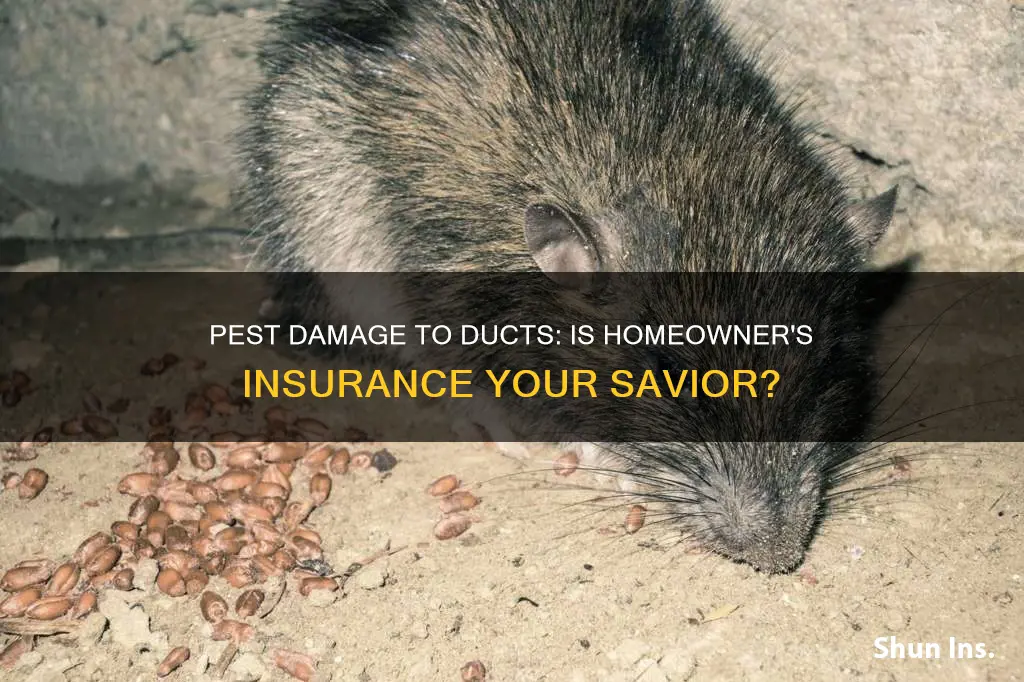 does homeowner