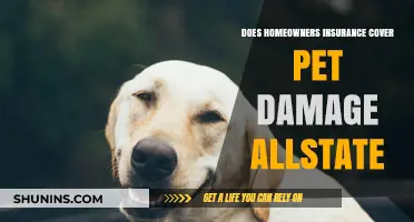 Home Insurance: Pet Damage Covered by Allstate?