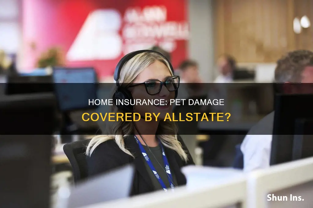 does homeowners insurance cover pet damage allstate
