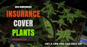 Home Insurance: Are Your Plants Covered?