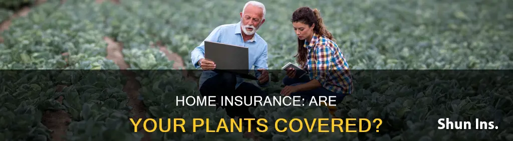 does homeowners insurance cover plants