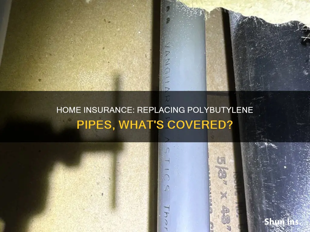 does homeowners insurance cover polybutylene pipe replacement
