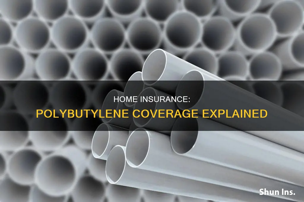 does homeowners insurance cover polybutylene