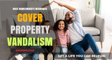 Vandalism and Homeowner's Insurance: What You Need to Know