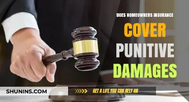 Home Insurance: Punitive Damages Covered?