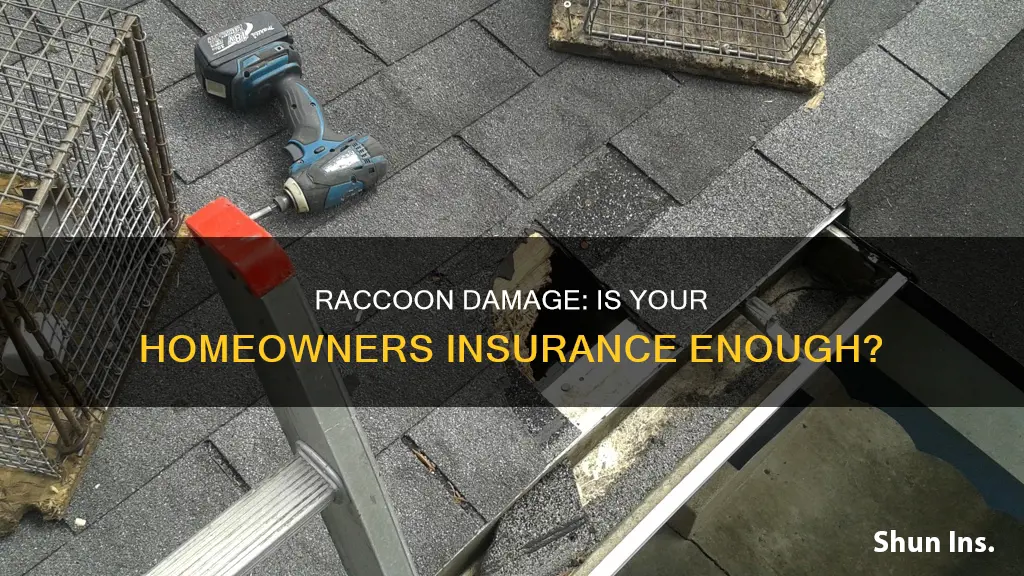does homeowners insurance cover racoon damage