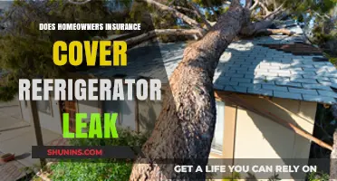 Home Insurance: Fridge Leaks and Coverage