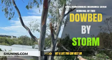 Home Insurance: Storm-Felled Trees and Coverage