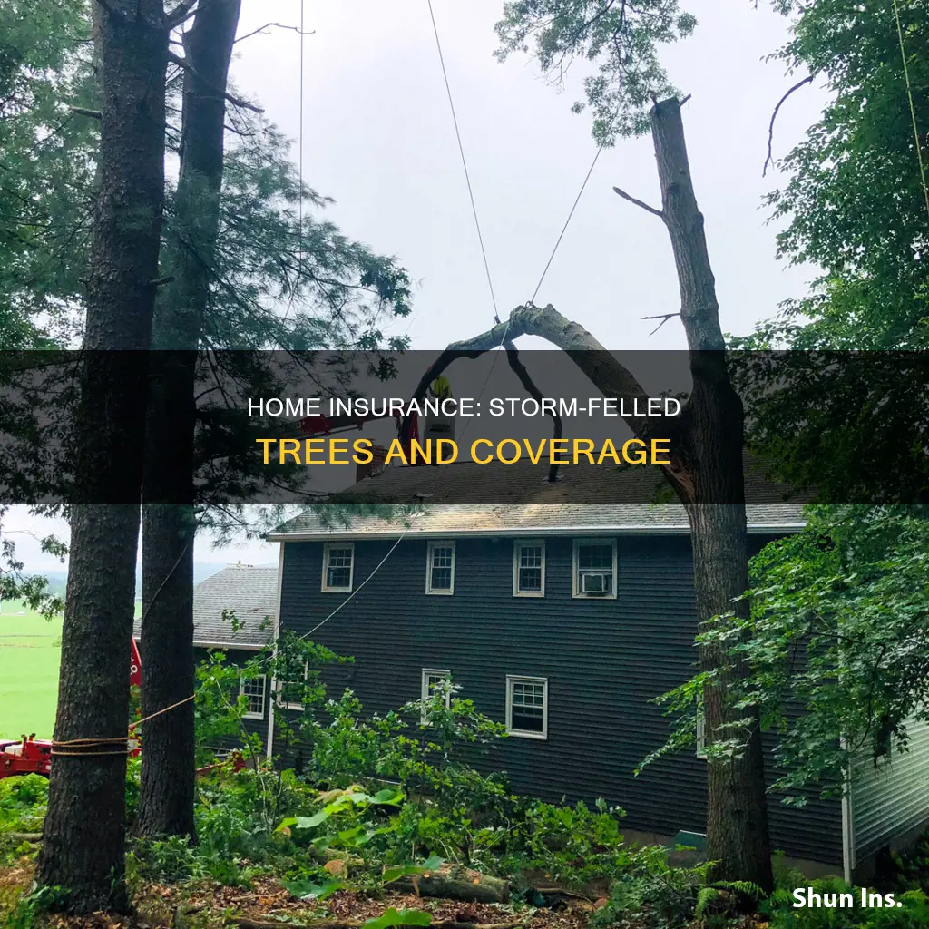 does homeowners insurance cover removal of tree dowbed by storm