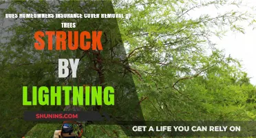 Home Insurance: Lightning-struck Trees and Coverage