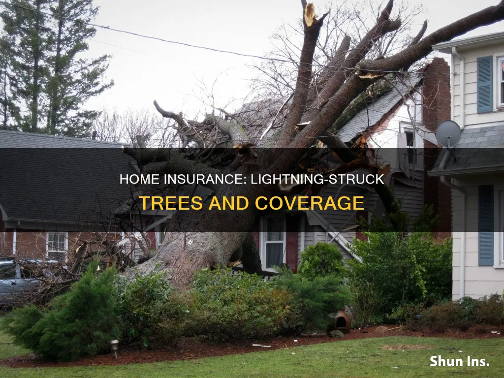 does homeowners insurance cover removal of trees struck by lightning