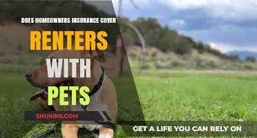 Does Your Home Insurance Cover Renters' Pets?