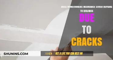 Home Insurance: Does It Cover Ceiling Crack Repairs?