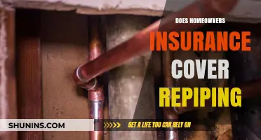 Homeowners Insurance: What's Covered for Repiping?
