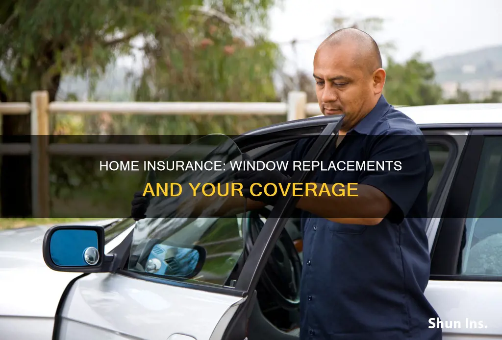 does homeowners insurance cover replacement windows
