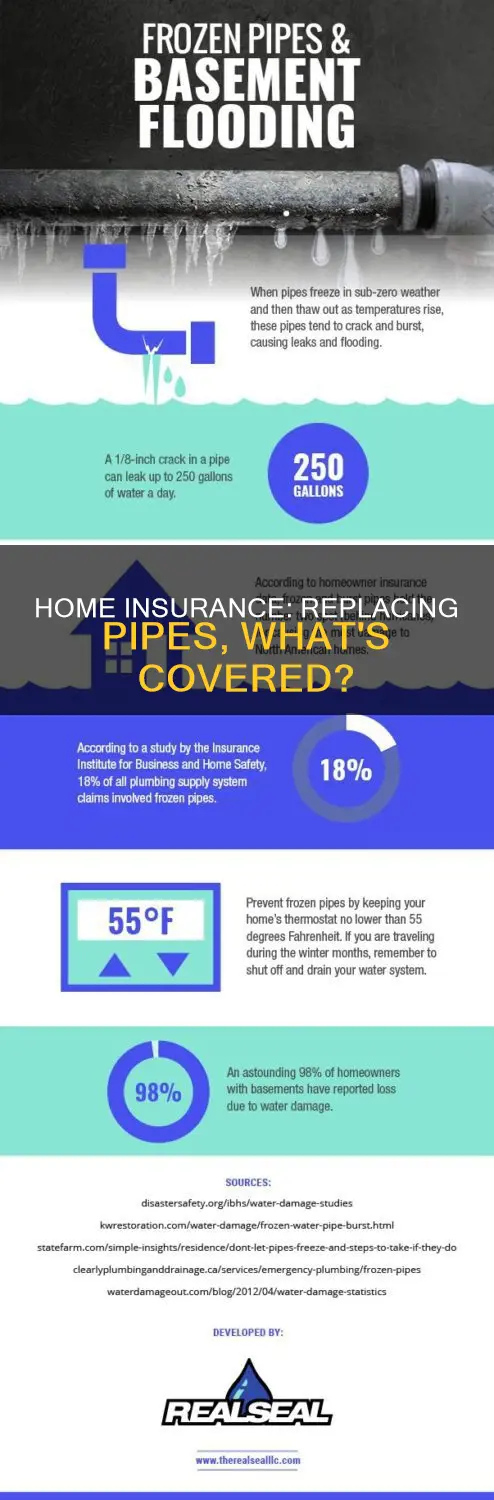 does homeowners insurance cover replacing cast iron pipes