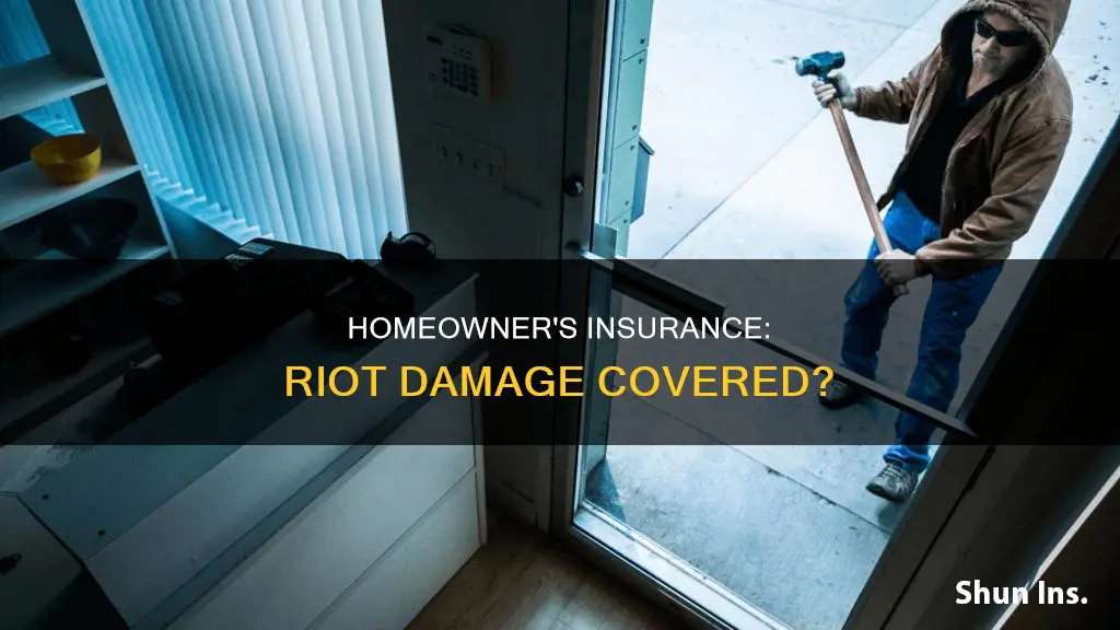 does homeowner