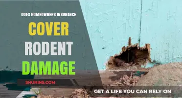 Home Insurance: Rodent Damage Covered?
