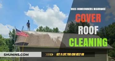 Homeowners Insurance: Does It Cover Roof Cleaning?