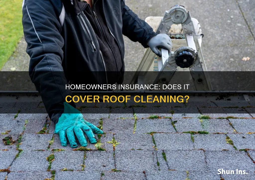 does homeowners insurance cover roof cleaning