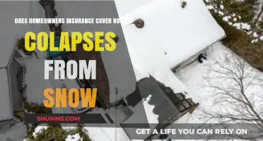 Home Insurance: Snow-Caused Roof Collapses Covered?