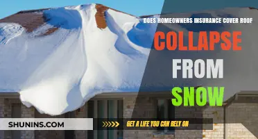 Homeowners Insurance: Roof Collapse from Snow Covered?