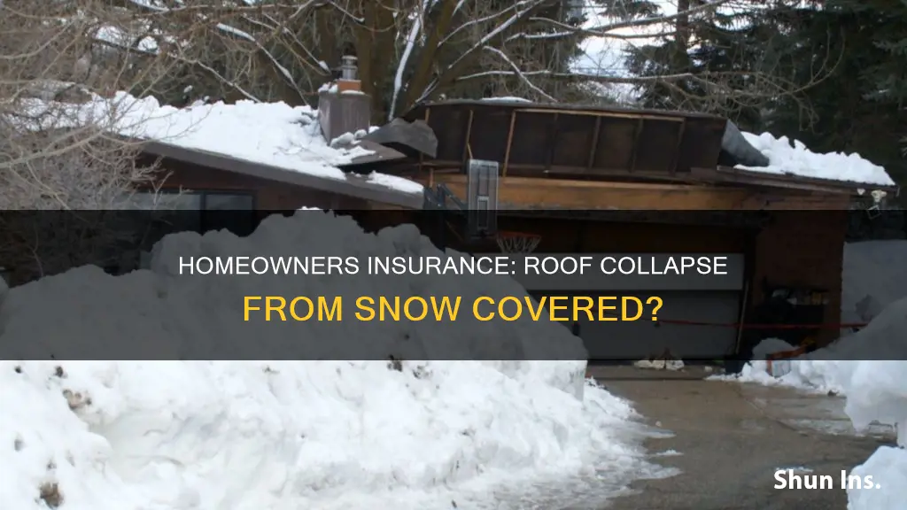 does homeowners insurance cover roof collapse from snow
