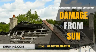 Homeowners Insurance: Sun Roof Damage Covered?