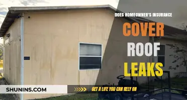 Homeowner's Insurance: Roof Leaks Covered?