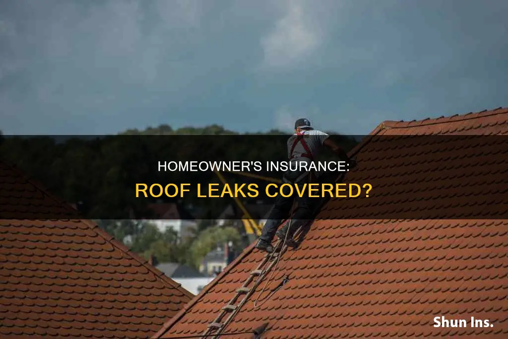 does homeowner