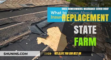 Homeowners' Roof Replacement: Is State Farm Insurance Enough?