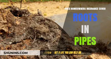 Home Insurance: Root-Caused Pipe Damage Covered?