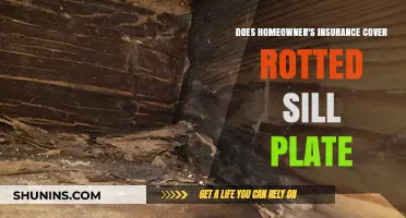 Homeowner's Insurance: Does It Cover Rotted Sill Plates?