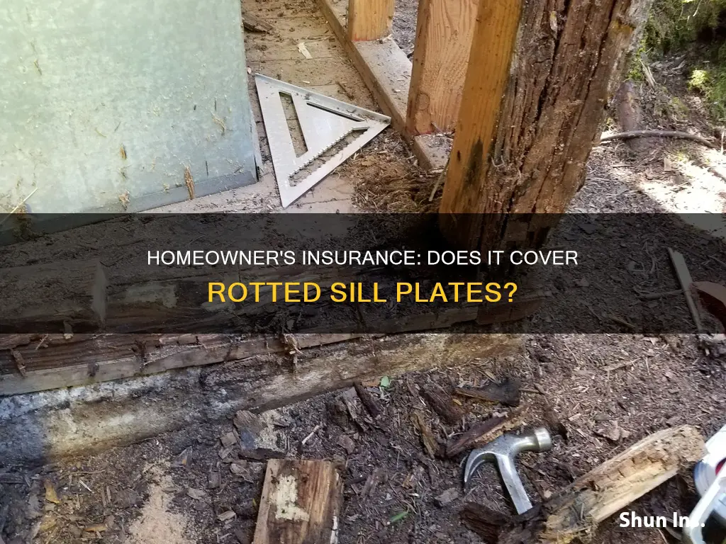 does homeowner