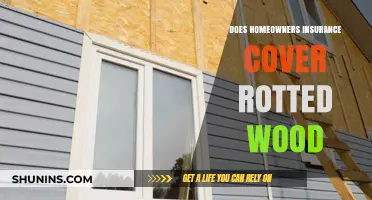 Homeowners Insurance: Does It Cover Rotted Wood Damage?