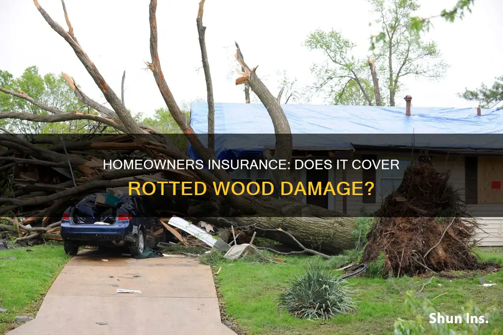 does homeowners insurance cover rotted wood