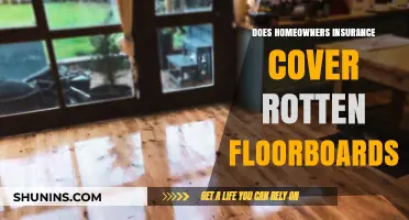 Home Insurance: Does It Cover Rotten Floorboards?