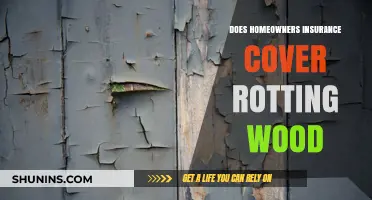 Home Insurance: Does Rotting Wood Get Covered?