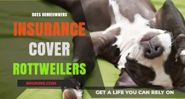 Home Insurance: Rottweilers and Liability Coverage