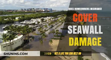 Homeowners Insurance: Does It Cover Seawall Damage?