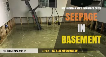 Homeowner's Insurance: Does It Cover Basement Seepage?