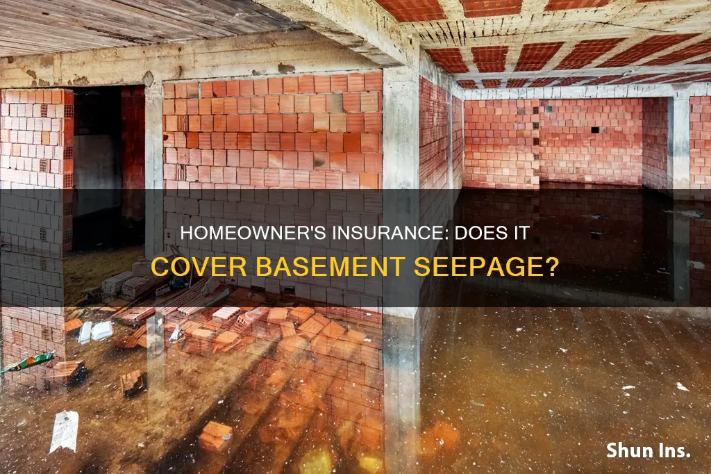 does homeowner
