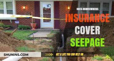Homeowners Insurance: Does It Cover Seepage?
