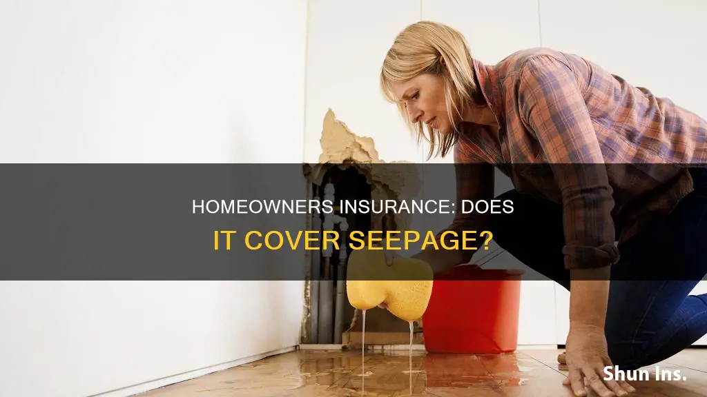 does homeowners insurance cover seepage