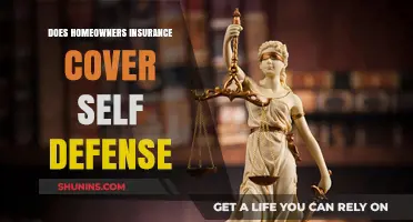 Self-Defense and Home Insurance: What's Covered?