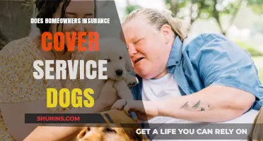 Service Dog Support: What Home Insurance Covers