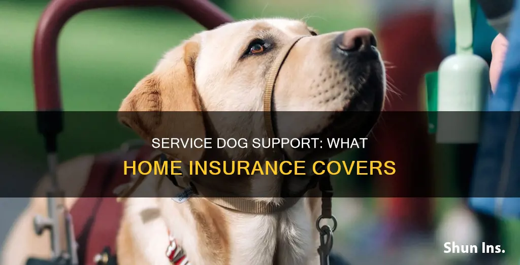 does homeowners insurance cover service dogs