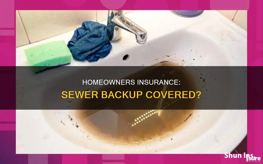 does homeowners insurance cover sewer backup